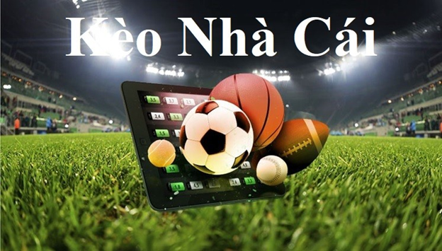 top nhà cái uy tín cổng game đổi thưởng mới nhất top nhà cái uy tín cổng game đổi thưởng mới nhất