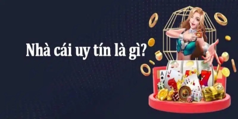 venus casino coi đá gà trực tiếp casino 🎰